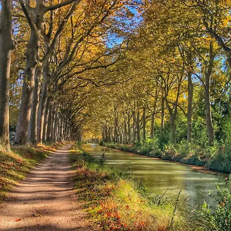 La Taniere Du Capitole - Coeur - Calme