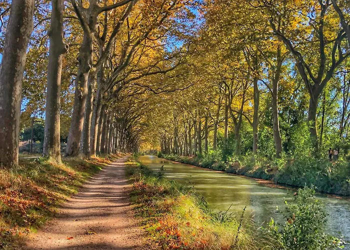 La Taniere Du Capitole - Coeur - Calme